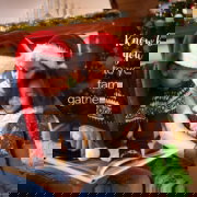 Lice Clinics of America - Tulsa and Northwest Arkansas can help you Know You’re Lice Free Before and After Holiday Gatherings